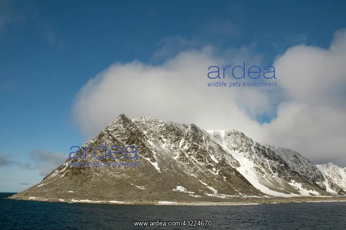 : Norway, Svalbard Archipelago, Spitsbergen : Norway, Svalbard Archipelago, Spitsbergen