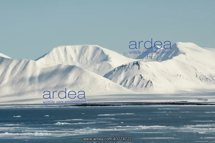 : Norway, Svalbard Archipelago, Spitsbergen : Norway, Svalbard Archipelago, Spitsbergen