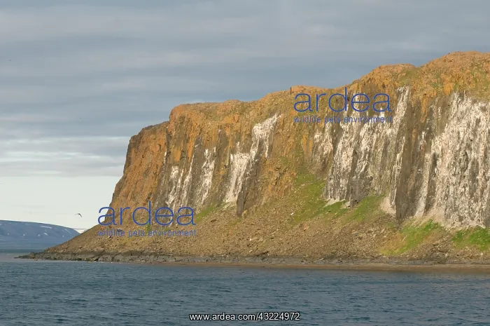 : Norway, Svalbard Archipelago, Spitsbergen : Norway, Svalbard Archipelago, Spitsbergen