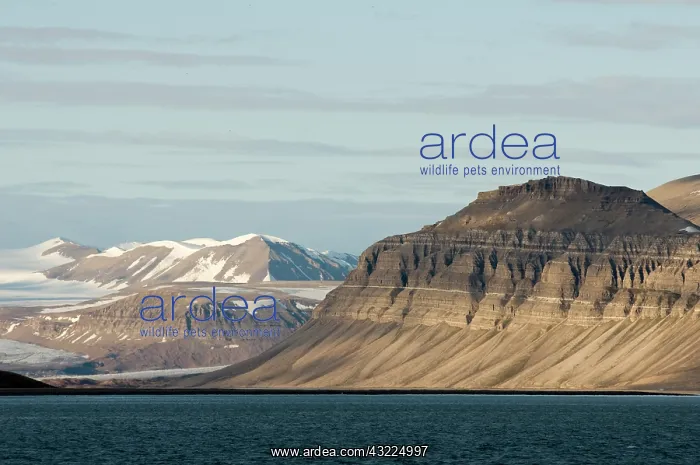 : Norway, Svalbard Archipelago, Spitsbergen : Norway, Svalbard Archipelago, Spitsbergen
