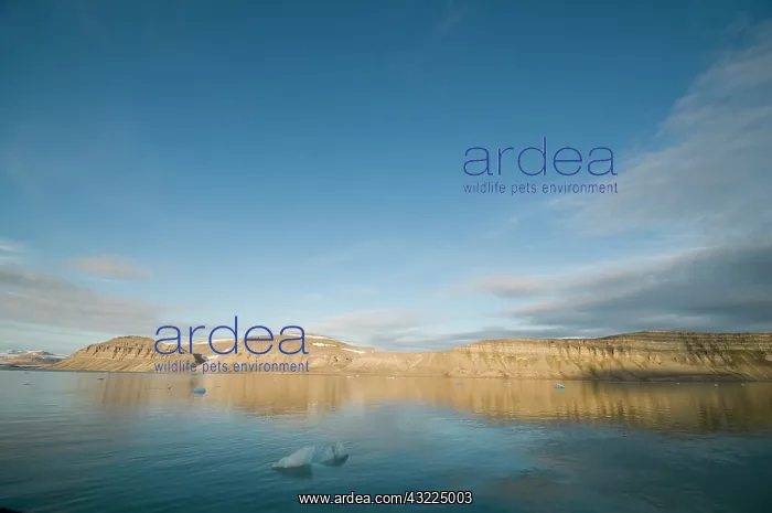: Norway, Svalbard Archipelago, Spitsbergen : Norway, Svalbard Archipelago, Spitsbergen