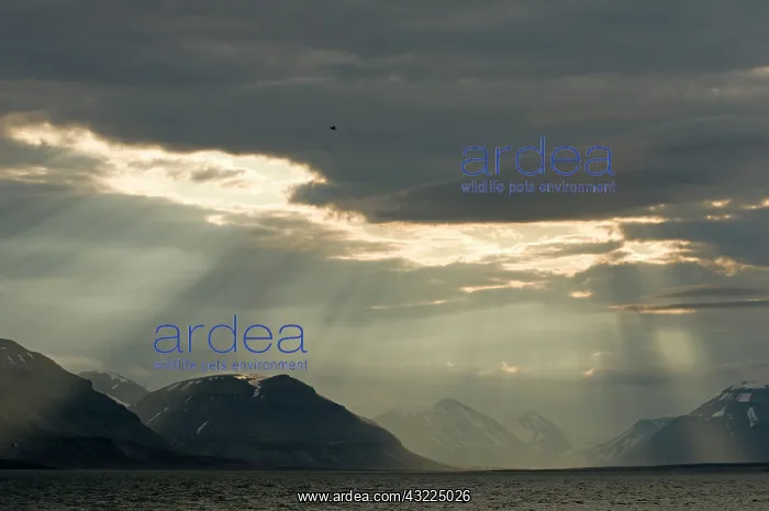  : Norway, Svalbard Archipelago, Spitsbergen