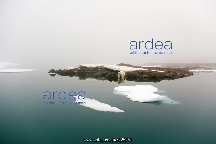 : Norway, Svalbard Archipelago, Spitsbergen : Norway, Svalbard Archipelago, Spitsbergen