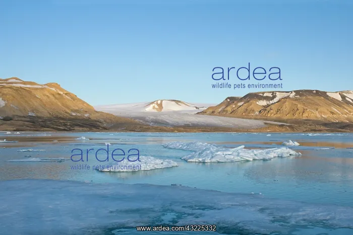 : Norway, Svalbard Archipelago, Spitsbergen : Norway, Svalbard Archipelago, Spitsbergen