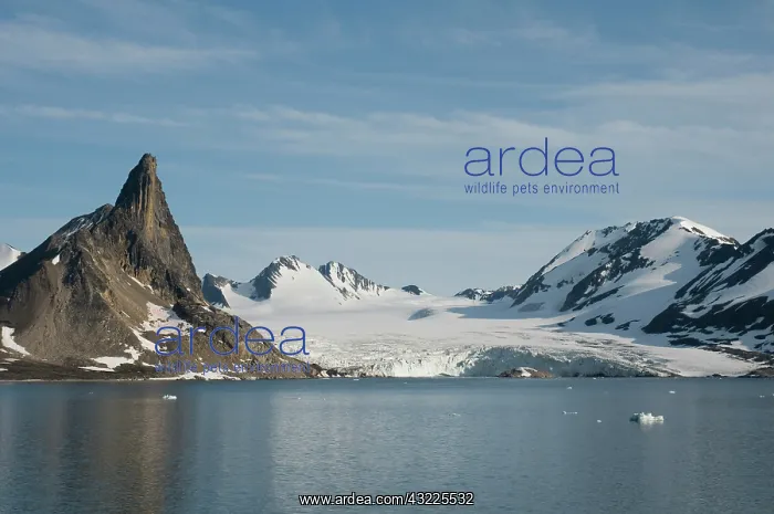 : Norway, Svalbard Archipelago, Spitsbergen : Norway, Svalbard Archipelago, Spitsbergen