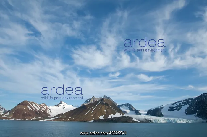 : Norway, Svalbard Archipelago, Spitsbergen : Norway, Svalbard Archipelago, Spitsbergen