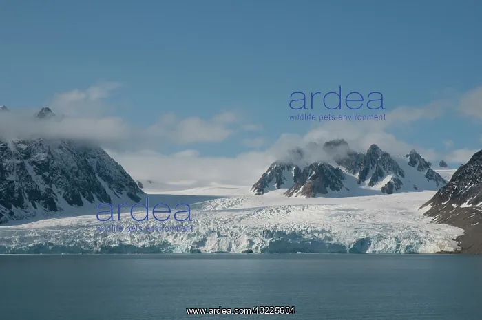 : Norway, Svalbard Archipelago, Spitsbergen : Norway, Svalbard Archipelago, Spitsbergen