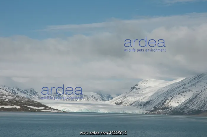 : Norway, Svalbard Archipelago, Spitsbergen : Norway, Svalbard Archipelago, Spitsbergen
