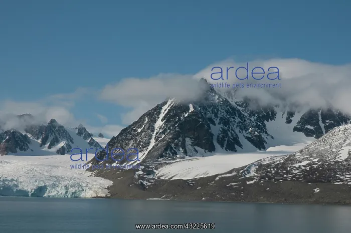 : Norway, Svalbard Archipelago, Spitsbergen : Norway, Svalbard Archipelago, Spitsbergen