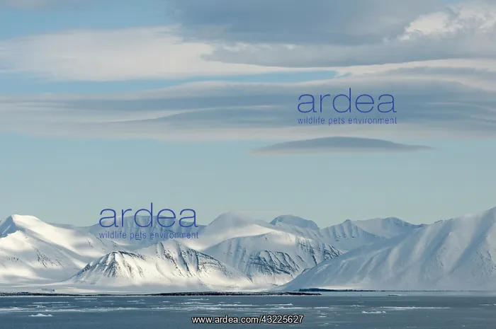 : Norway, Svalbard Archipelago, Spitsbergen : Norway, Svalbard Archipelago, Spitsbergen