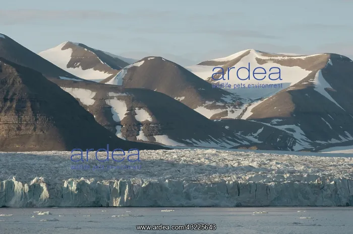 : Norway, Svalbard Archipelago, Spitsbergen : Norway, Svalbard Archipelago, Spitsbergen