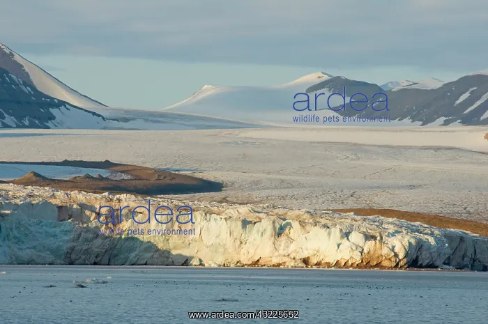 : Norway, Svalbard Archipelago, Spitsbergen : Norway, Svalbard Archipelago, Spitsbergen