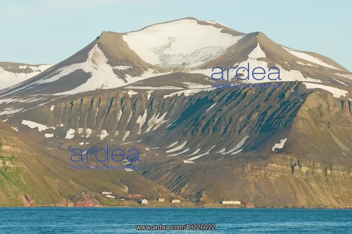 : Norway, Svalbard Archipelago, Spitsbergen : Norway, Svalbard Archipelago, Spitsbergen