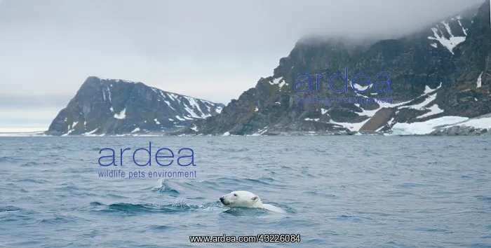 : Norway, Svalbard Archipelago, Spitsbergen : Norway, Svalbard Archipelago, Spitsbergen