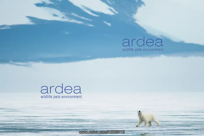 : Norway, Svalbard Archipelago, Spitsbergen : Norway, Svalbard Archipelago, Spitsbergen