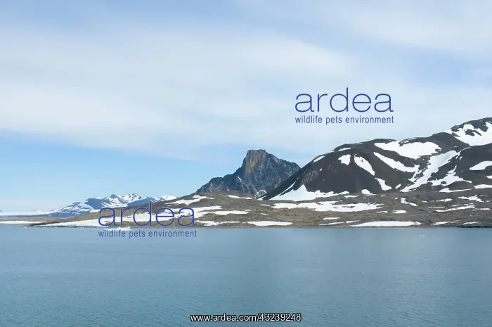 : Norway, Svalbard Archipelago, Spitsbergen : Norway, Svalbard Archipelago, Spitsbergen