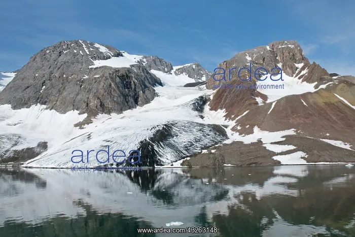 : Norway, Svalbard Archipelago, Spitsbergen : Norway, Svalbard Archipelago, Spitsbergen