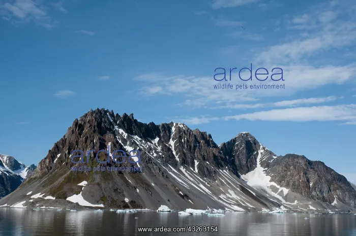 : Norway, Svalbard Archipelago, Spitsbergen : Norway, Svalbard Archipelago, Spitsbergen