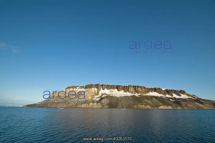 : Norway, Svalbard Archipelago, Spitsbergen : Norway, Svalbard Archipelago, Spitsbergen