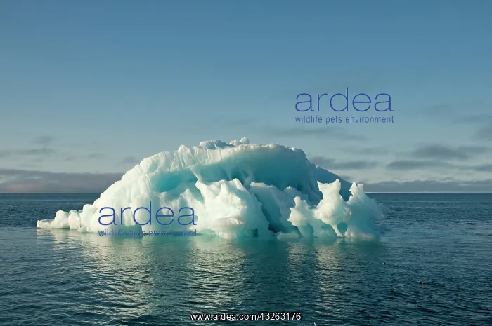 : Norway, Svalbard Archipelago, Spitsbergen : Norway, Svalbard Archipelago, Spitsbergen