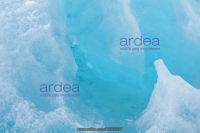 : Norway, Svalbard Archipelago, Spitsbergen : Norway, Svalbard Archipelago, Spitsbergen