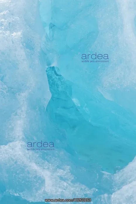 : Norway, Svalbard Archipelago, Spitsbergen : Norway, Svalbard Archipelago, Spitsbergen