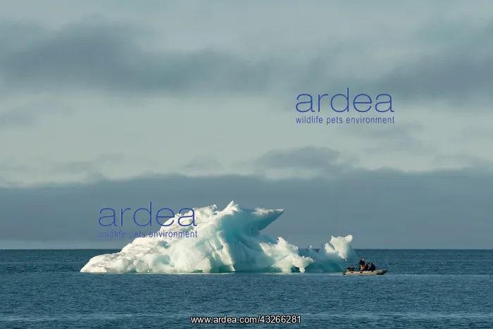 : Norway, Svalbard Archipelago, Spitsbergen : Norway, Svalbard Archipelago, Spitsbergen
