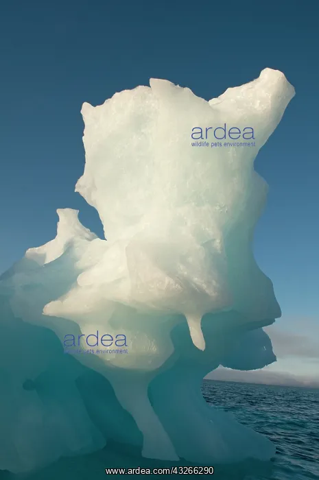 : Norway, Svalbard Archipelago, Spitsbergen : Norway, Svalbard Archipelago, Spitsbergen