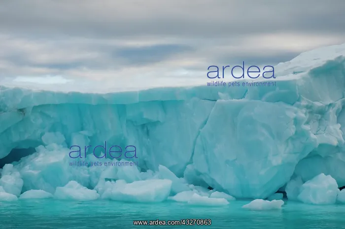 : Norway, Svalbard Archipelago, Spitsbergen : Norway, Svalbard Archipelago, Spitsbergen