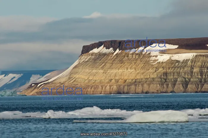 : Norway, Svalbard Archipelago, Spitsbergen : Norway, Svalbard Archipelago, Spitsbergen