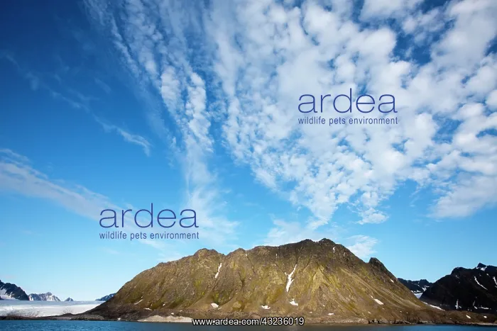  : Norway, Svalbard, Clouds above steep cliffs