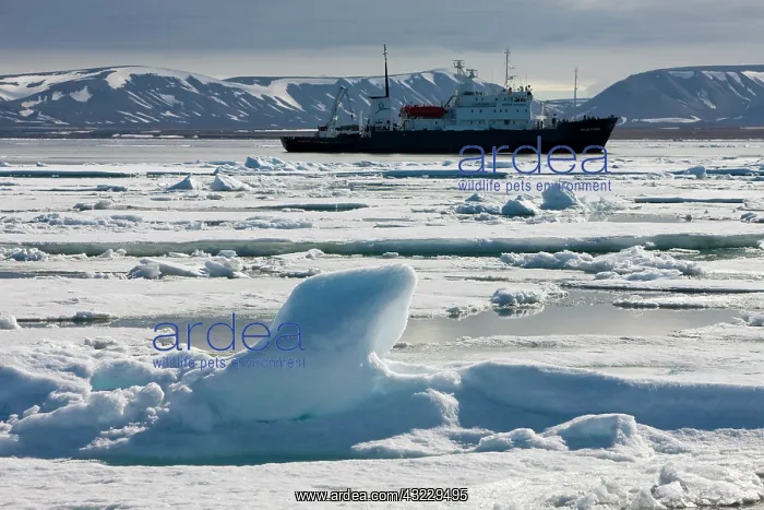 : Norway, Svalbard, Edgeoya Island, Cruise : Norway, Svalbard, Edgeoya Island, Cruise