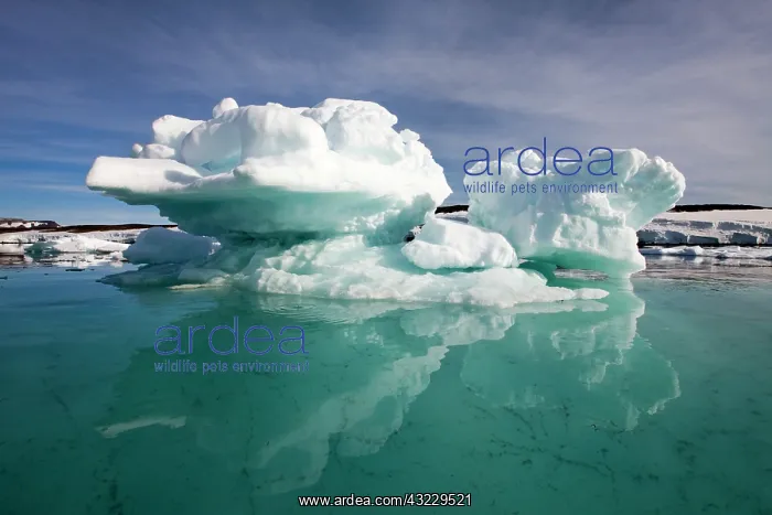 : Norway, Svalbard, Edgeoya Island, Icebergs : Norway, Svalbard, Edgeoya Island, Icebergs