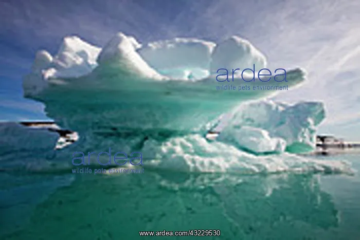 : Norway, Svalbard, Edgeoya Island, Icebergs : Norway, Svalbard, Edgeoya Island, Icebergs