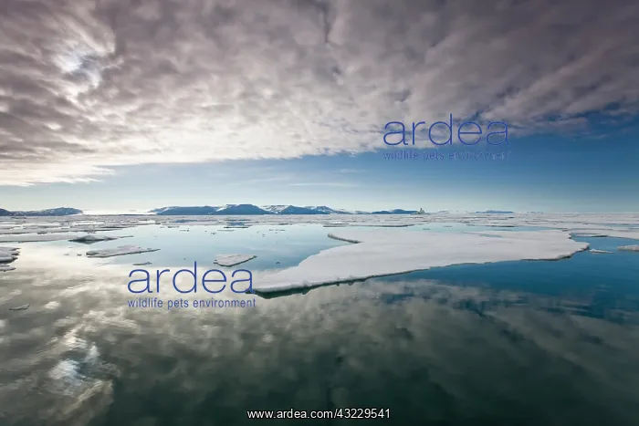 : Norway, Svalbard, Edgeoya Island, Low clouds : Norway, Svalbard, Edgeoya Island, Low clouds