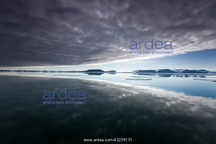 : Norway, Svalbard, Edgeoya Island, Reflection : Norway, Svalbard, Edgeoya Island, Reflection