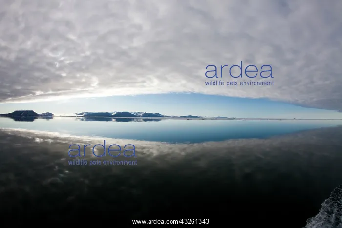 : Norway, Svalbard, Edgeoya Island, Reflection : Norway, Svalbard, Edgeoya Island, Reflection