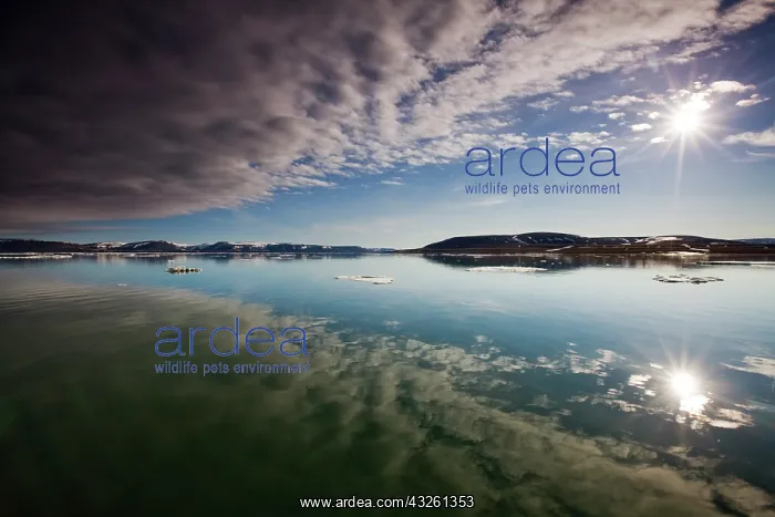 : Norway, Svalbard, Edgeoya Island, Reflection : Norway, Svalbard, Edgeoya Island, Reflection