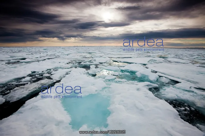 : Norway, Svalbard, Edgeoya Island, Storm : Norway, Svalbard, Edgeoya Island, Storm