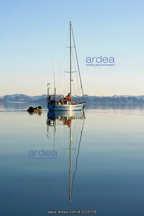 : Norway, Svalbard, Edgeoya Island, SV Arctica : Norway, Svalbard, Edgeoya Island, SV Arctica