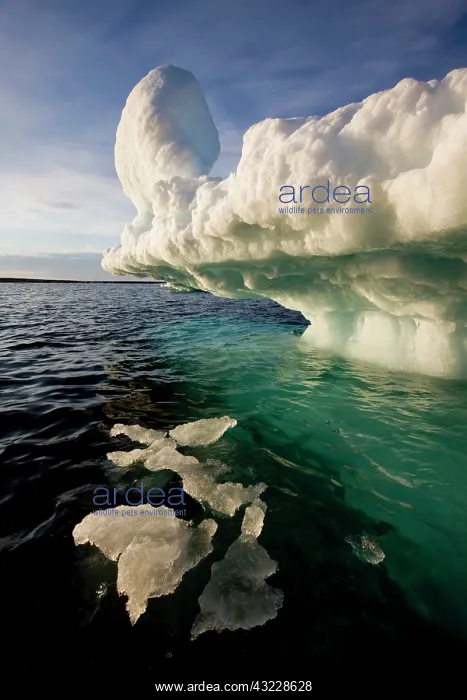 : Norway, Svalbard, Langoya Island, Setting : Norway, Svalbard, Langoya Island, Setting