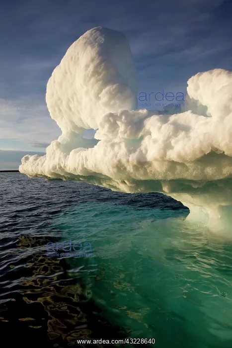 : Norway, Svalbard, Langoya Island, Setting : Norway, Svalbard, Langoya Island, Setting