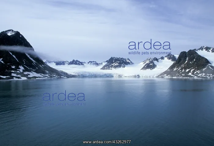 : Norway, Svalbard. Magdalena Fjord and glacier : Norway, Svalbard. Magdalena Fjord and glacier