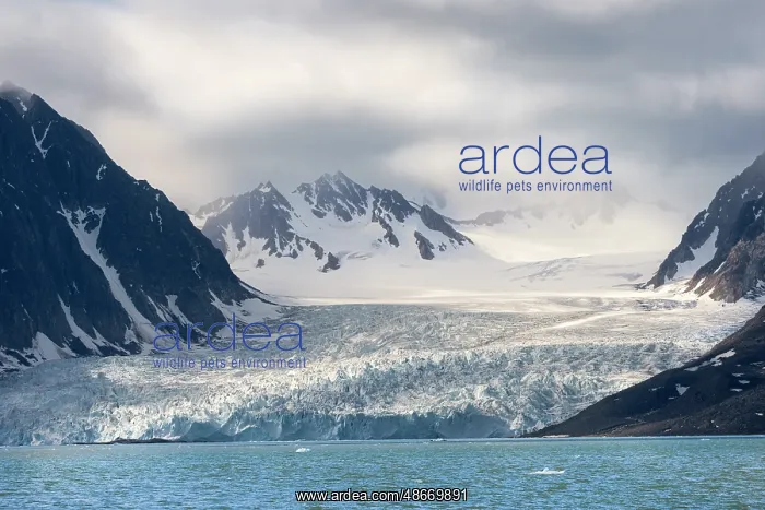 : Norway, Svalbard. Monacobreen Glacier, a tidewater glacier : Norway, Svalbard. Monacobreen Glacier, a tidewater glacier