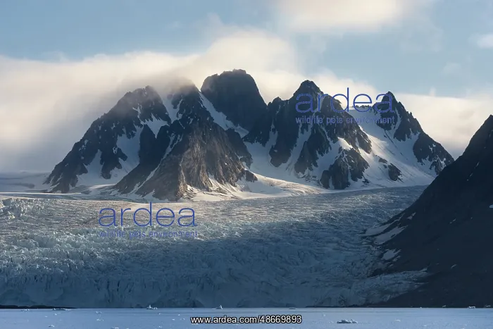 : Norway, Svalbard. Monacobreen Glacier at sunset. ic Don Gral : Norway, Svalbard. Monacobreen Glacier at sunset. ic Don Gral