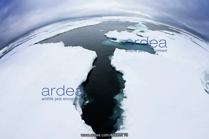 : Norway, Svalbard, Nordaustlandet, Breaking : Norway, Svalbard, Nordaustlandet, Breaking
