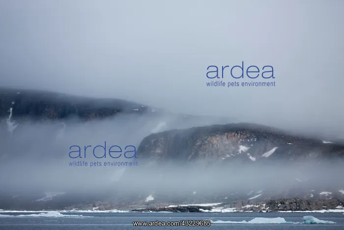 : Norway, Svalbard, Nordaustlandet, Cliffs : Norway, Svalbard, Nordaustlandet, Cliffs