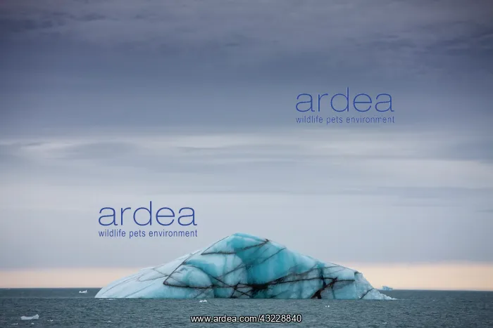  : Norway, Svalbard, Nordaustlandet, Deep blue