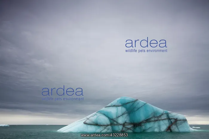 : Norway, Svalbard, Nordaustlandet, Deep blue : Norway, Svalbard, Nordaustlandet, Deep blue