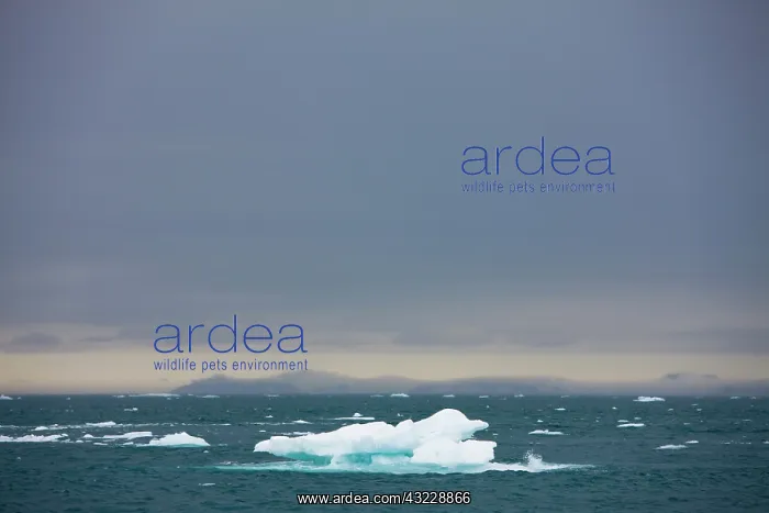 : Norway, Svalbard, Nordaustlandet, Iceberg : Norway, Svalbard, Nordaustlandet, Iceberg